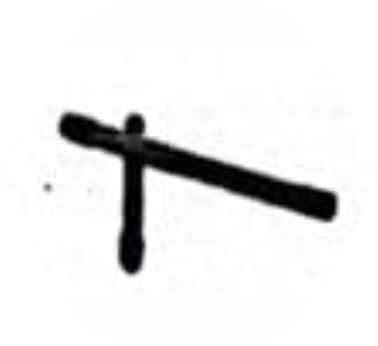 19